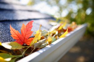 Good Property Managers Clean Out Gutters in Fall