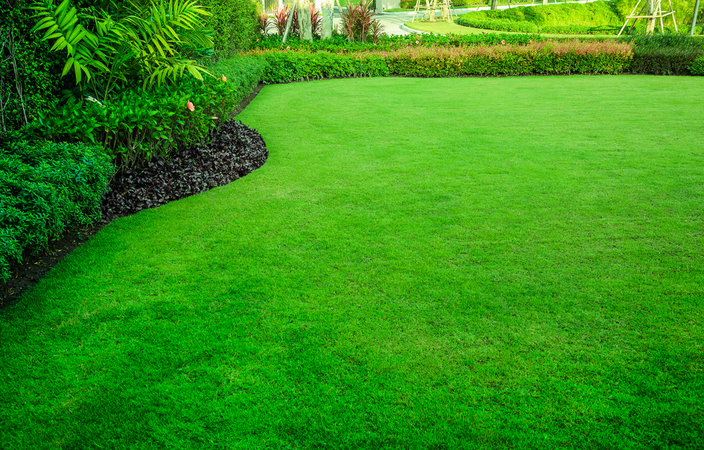 5-spring-lawn-care-tips-for-landlords