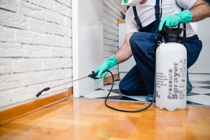 professional exterminators performing rental property maintenance in Dallas